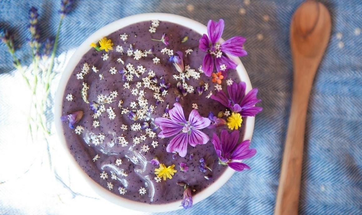Versunken in Blueberry Nights: Nicecream mit Blaubeeren und Lavendel